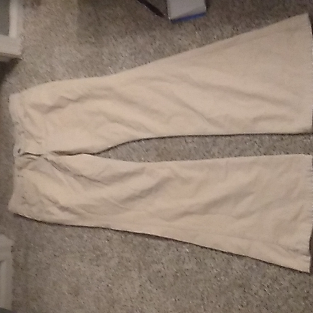 Beige Gap pants